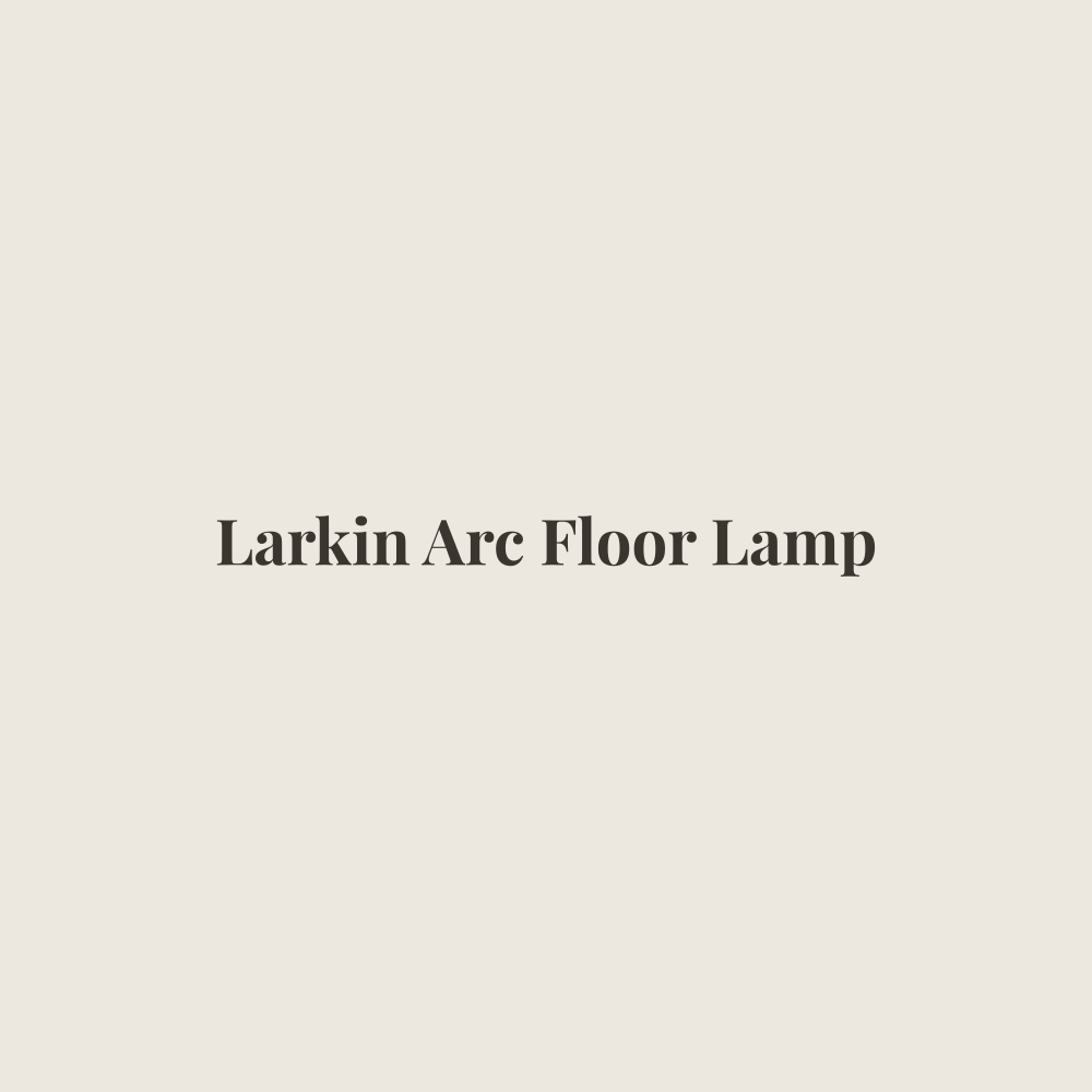Larkin Arc Floor Lamp